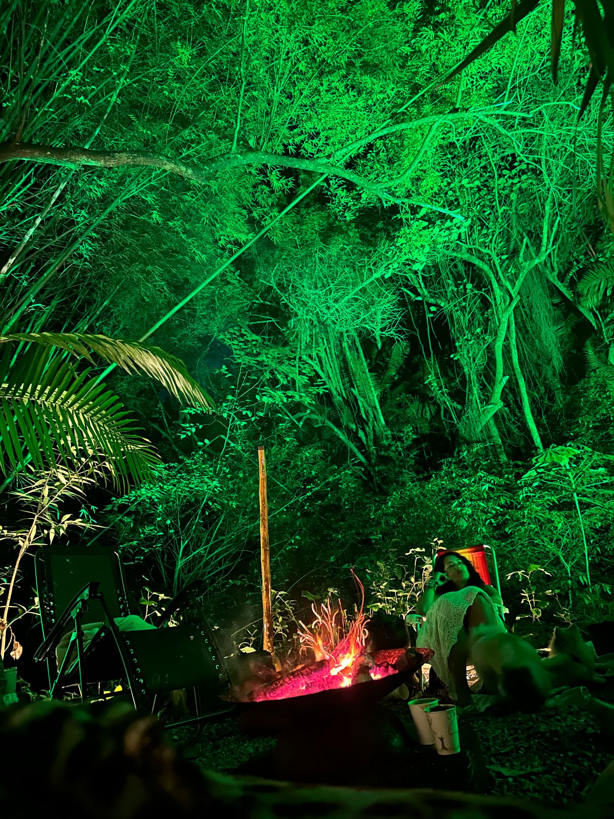 Cerimônia noturna na floresta com luz verde e fogueira